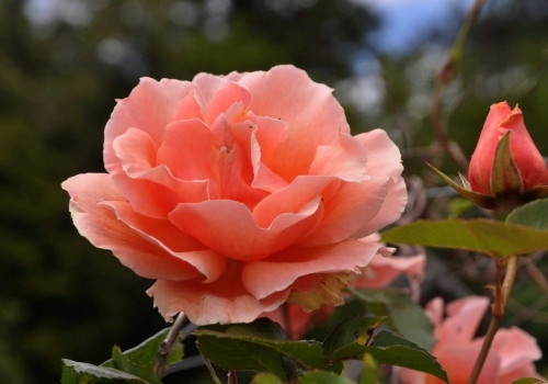 Enticing July & August Breaks