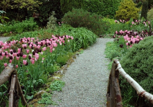 Glorious March & April Spring Breaks