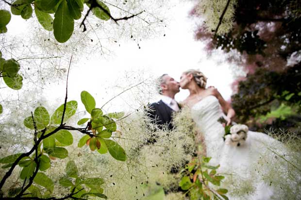 Weddings Galway : Wedding Ceremonies & Wedding Reception venues Weddings Galway : Wedding Ceremonies & Wedding Reception venues