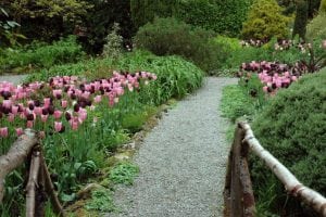 Cashel House Hotel, Connemara : Award Winning Gardens