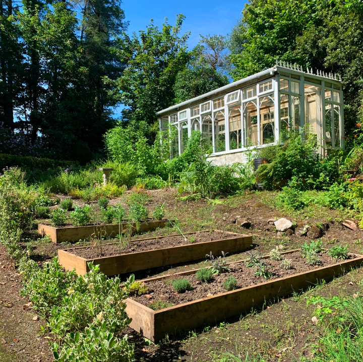 Aromatic herb garden conservatory