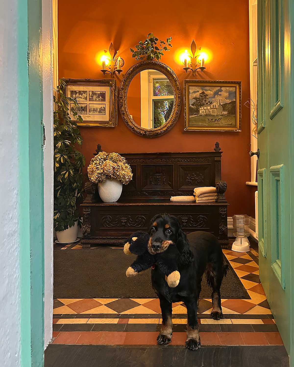 Dog Friendly hotel